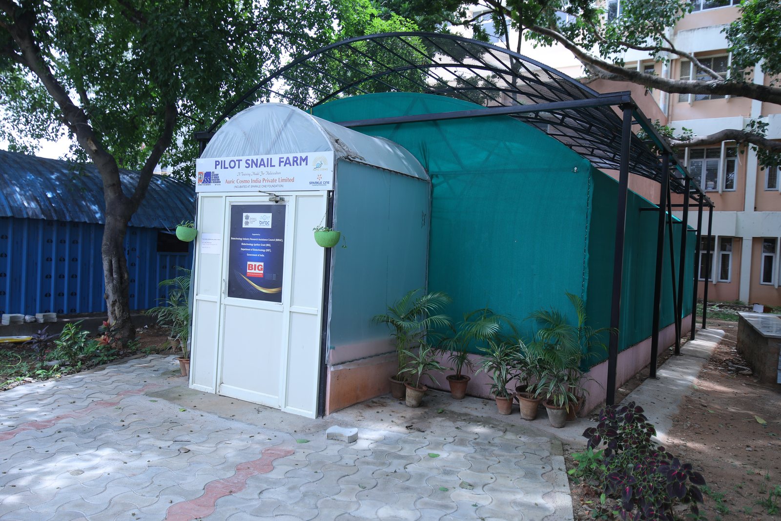 Pilot Snail Farm - School of Life Sciences, Mysuru
