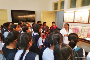 Anatomy Museum