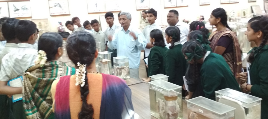 Anatomy Museum