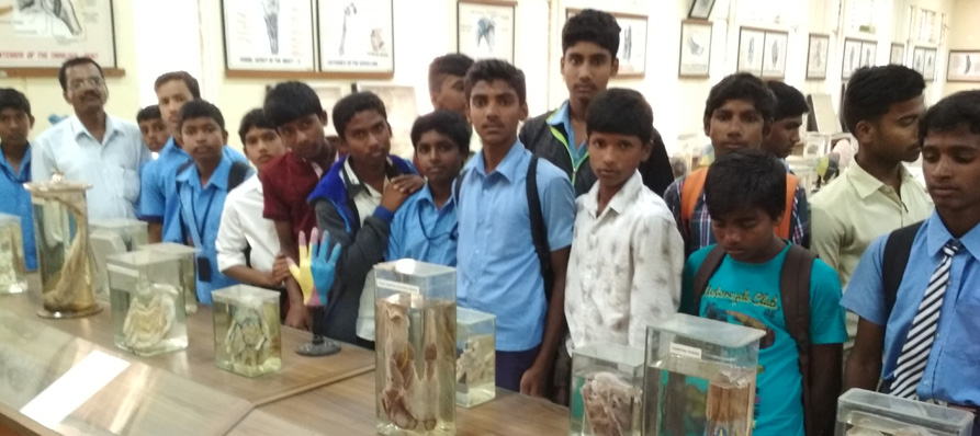 Anatomy Museum