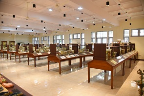 Anatomy Museum
