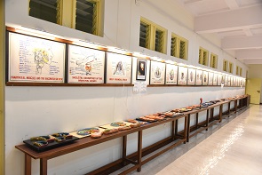Anatomy Museum