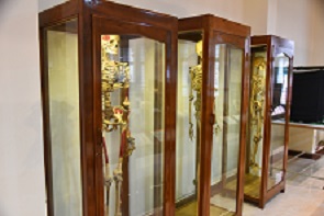 Anatomy Museum
