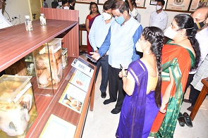 Anatomy Museum