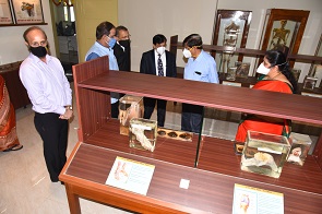 Anatomy Museum